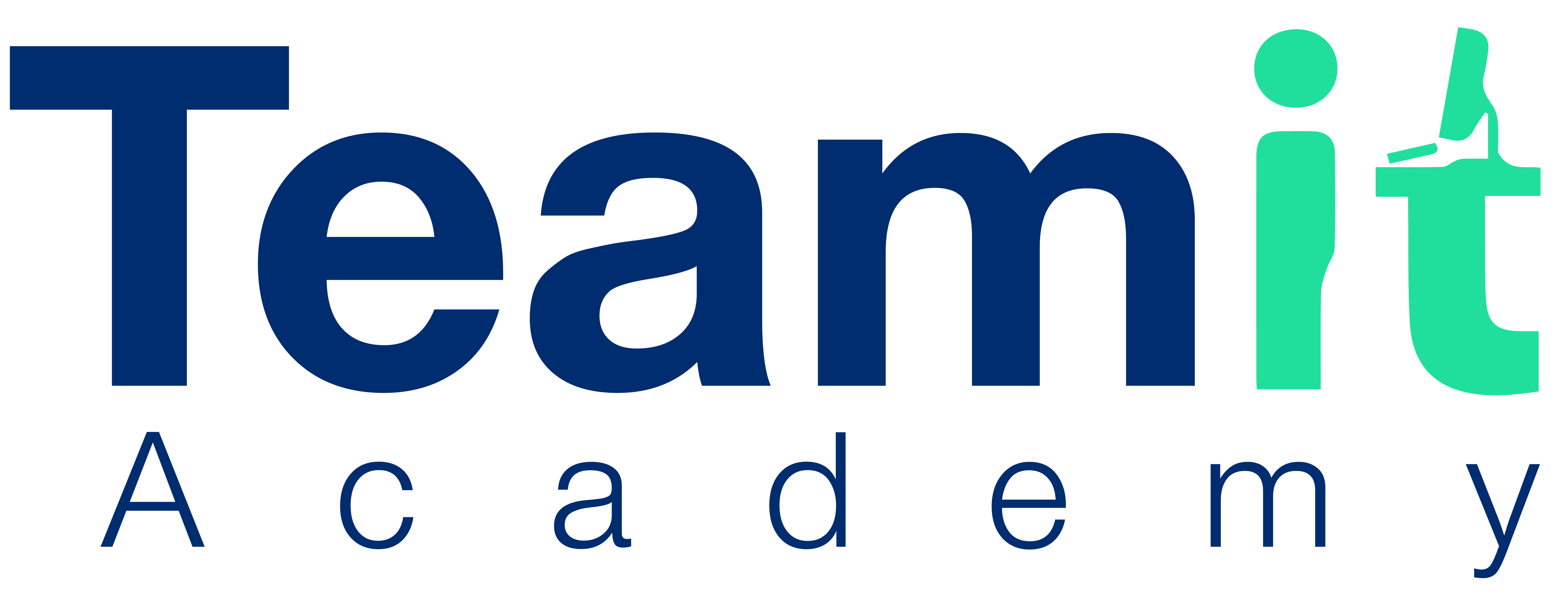 TeamIT logo